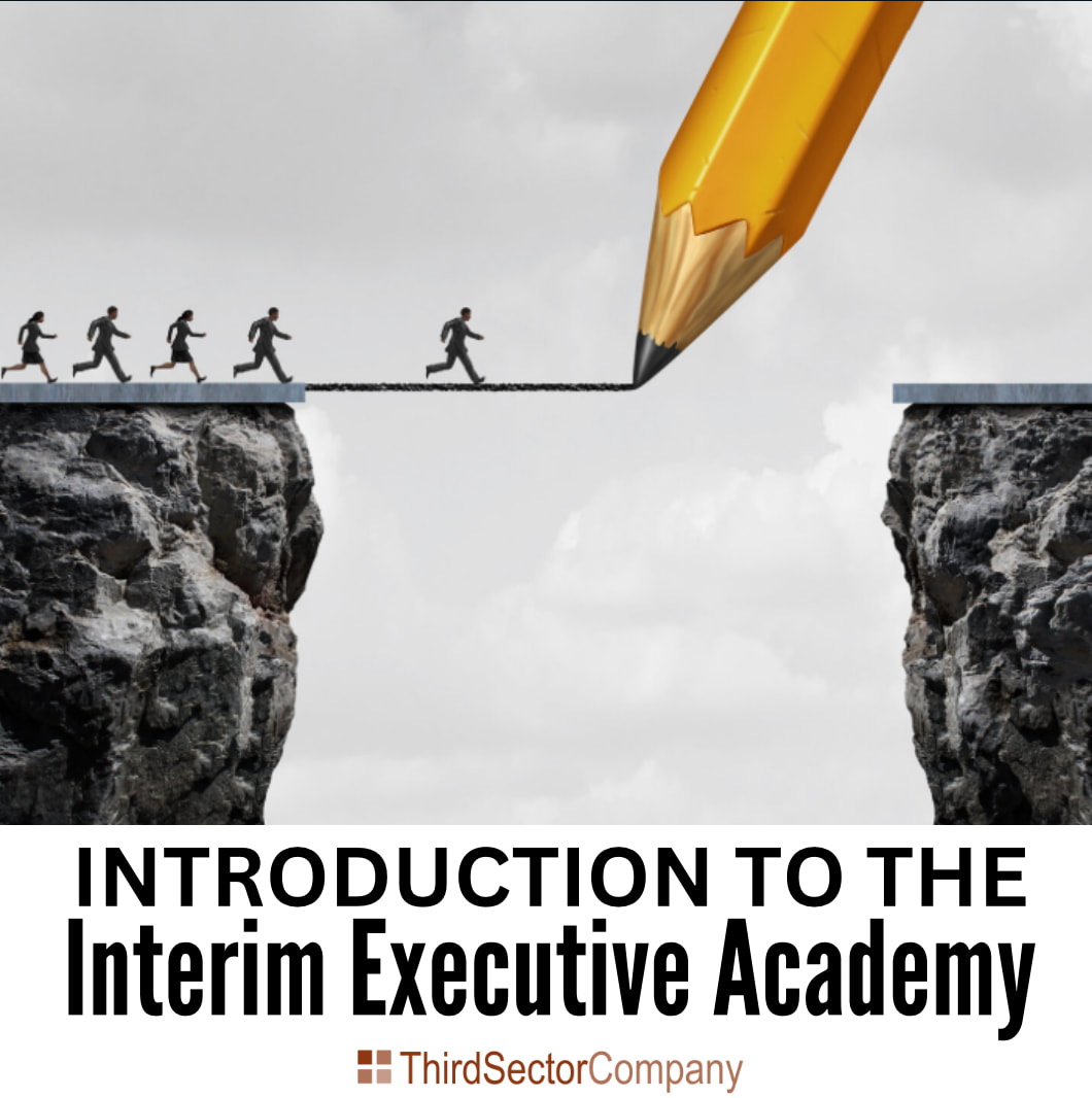Image of people running on a bridge drawn by a large pencil. Text: Introduction to the Interim Executive Academy. Third Sector Company logo